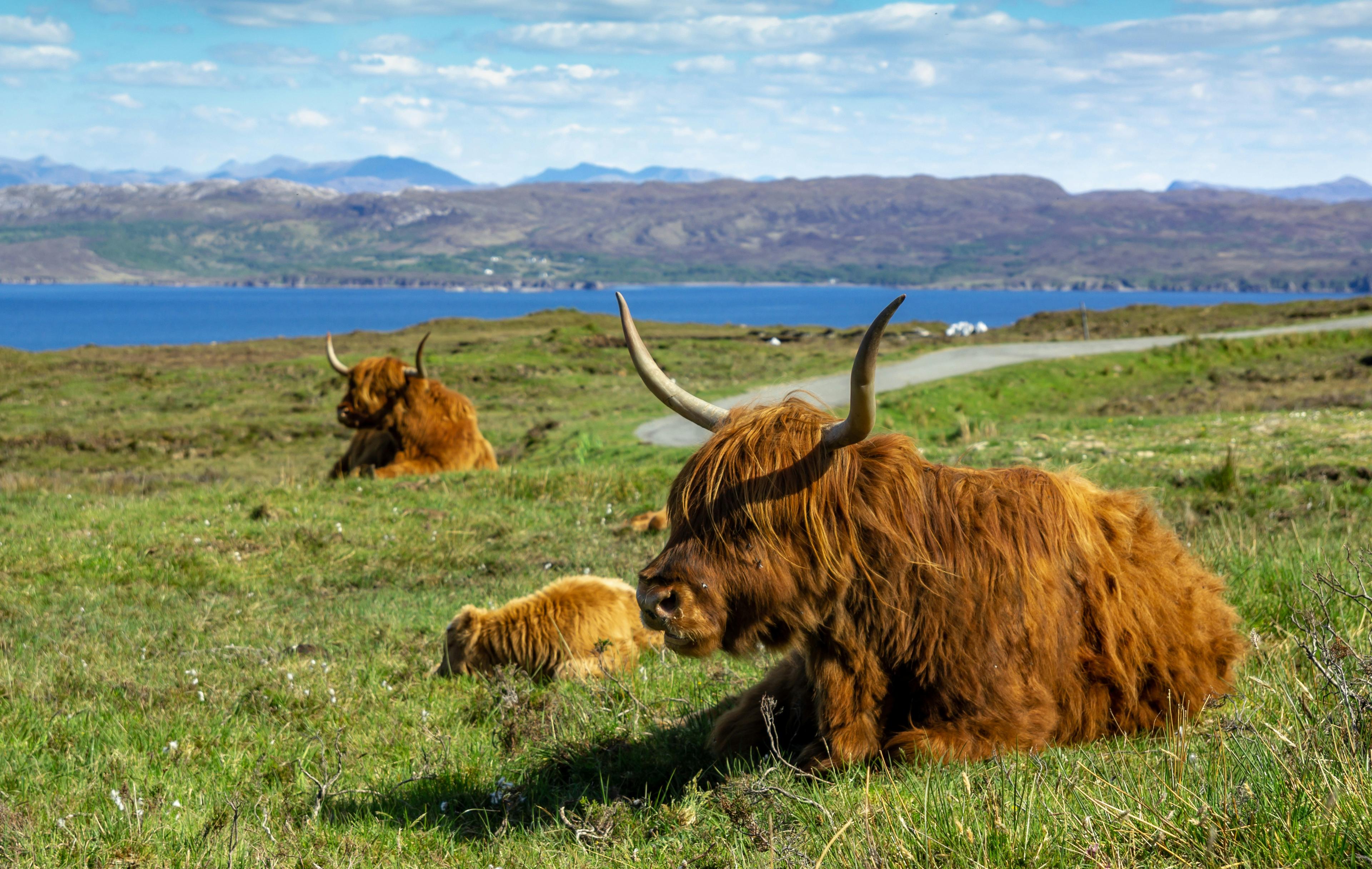 Scotland with the Scottish Highlands