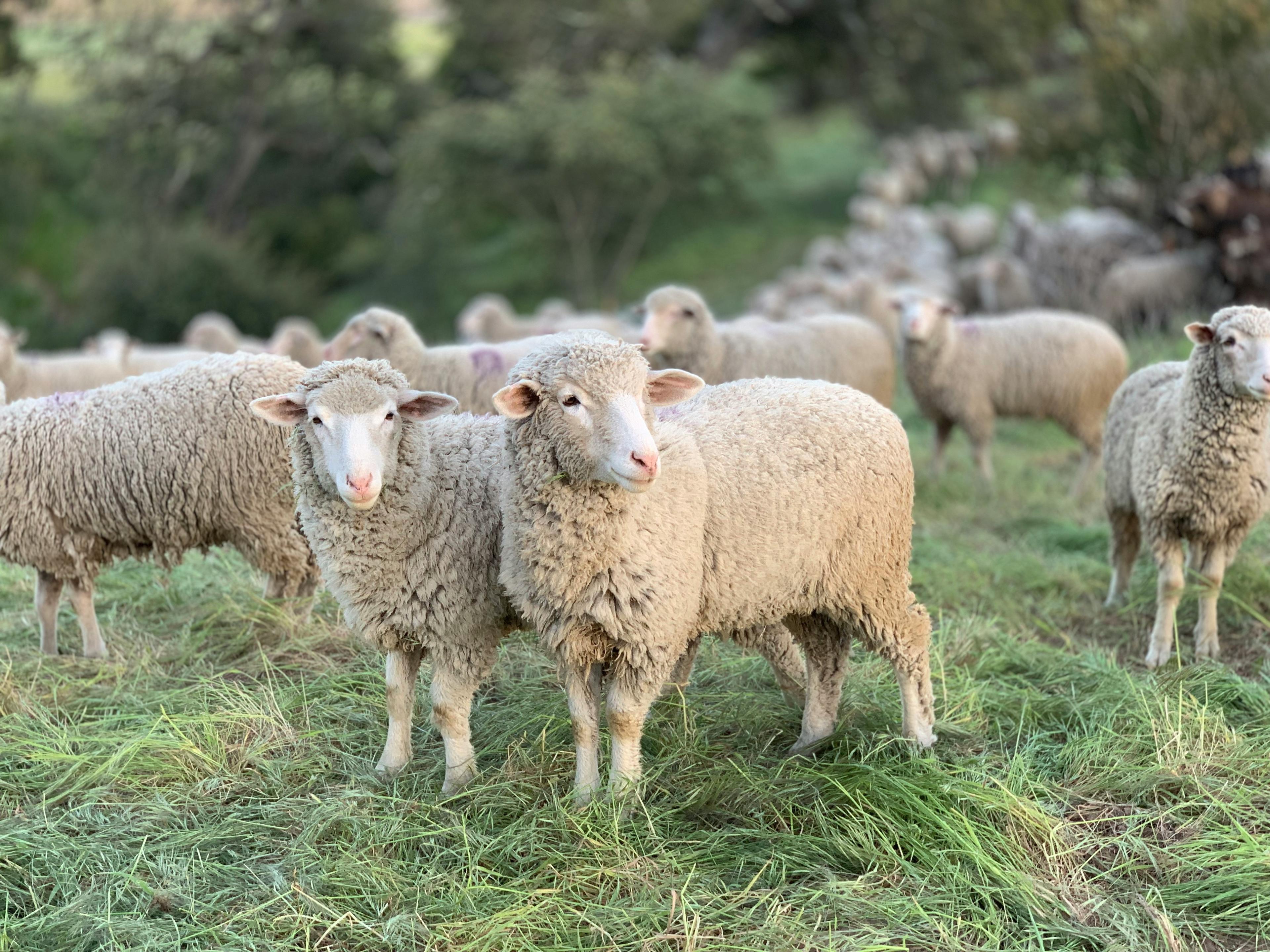JOIN OUR KNITTING OR QUILTING TOURS