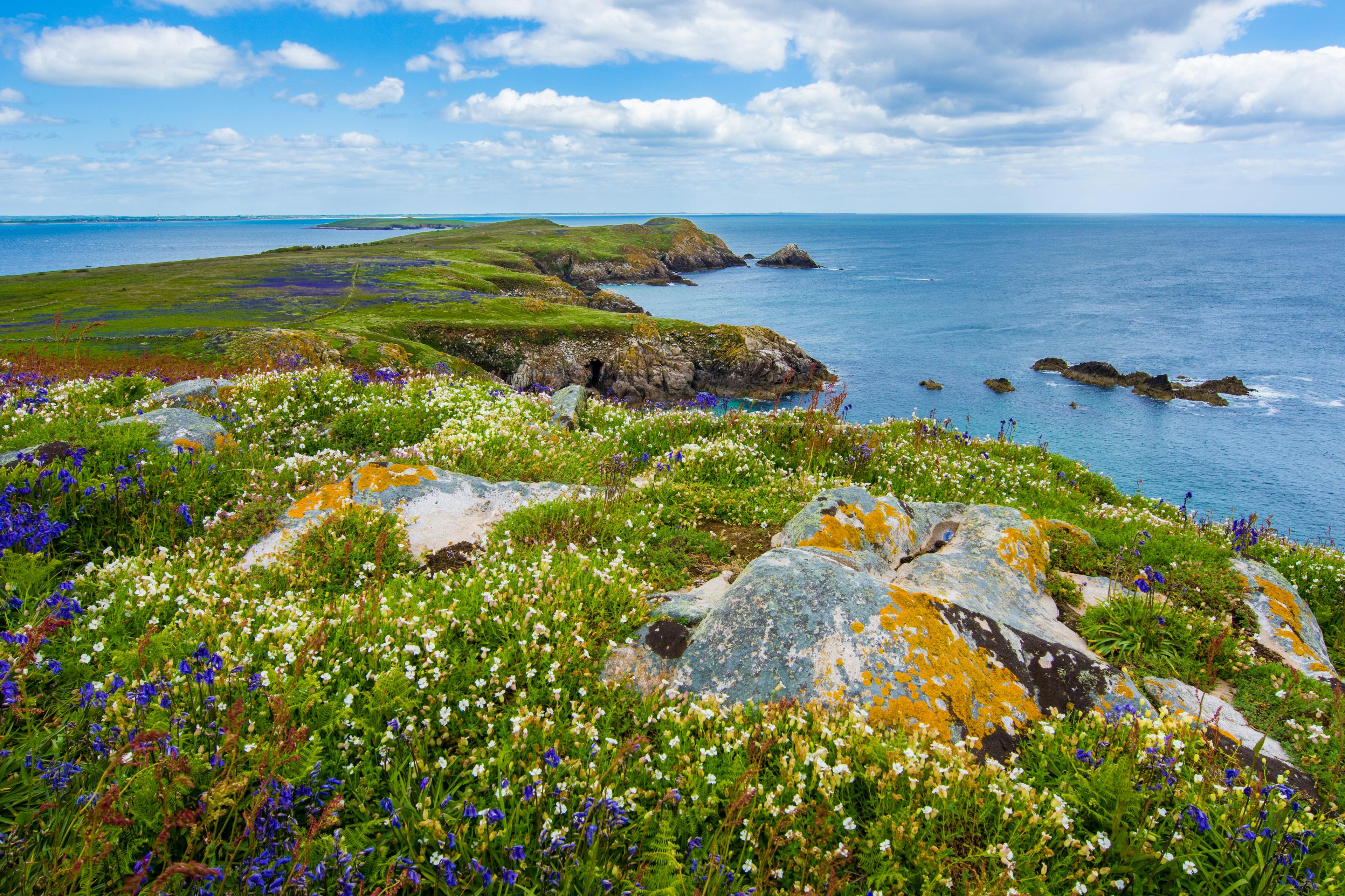 SOUTH OF IRELAND AND ARAN ISLANDS KNITTING TOUR - background banner